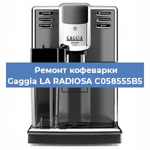 Чистка кофемашины Gaggia LA RADIOSA C058555B5 от кофейных масел в Нижнем Новгороде
